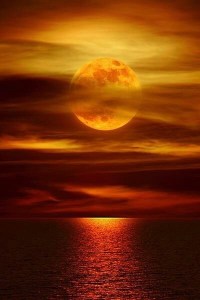 Orange moon