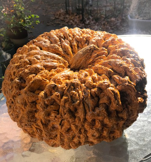 416A5DDA-947A-48E7-A6E2-07F545FAC11E