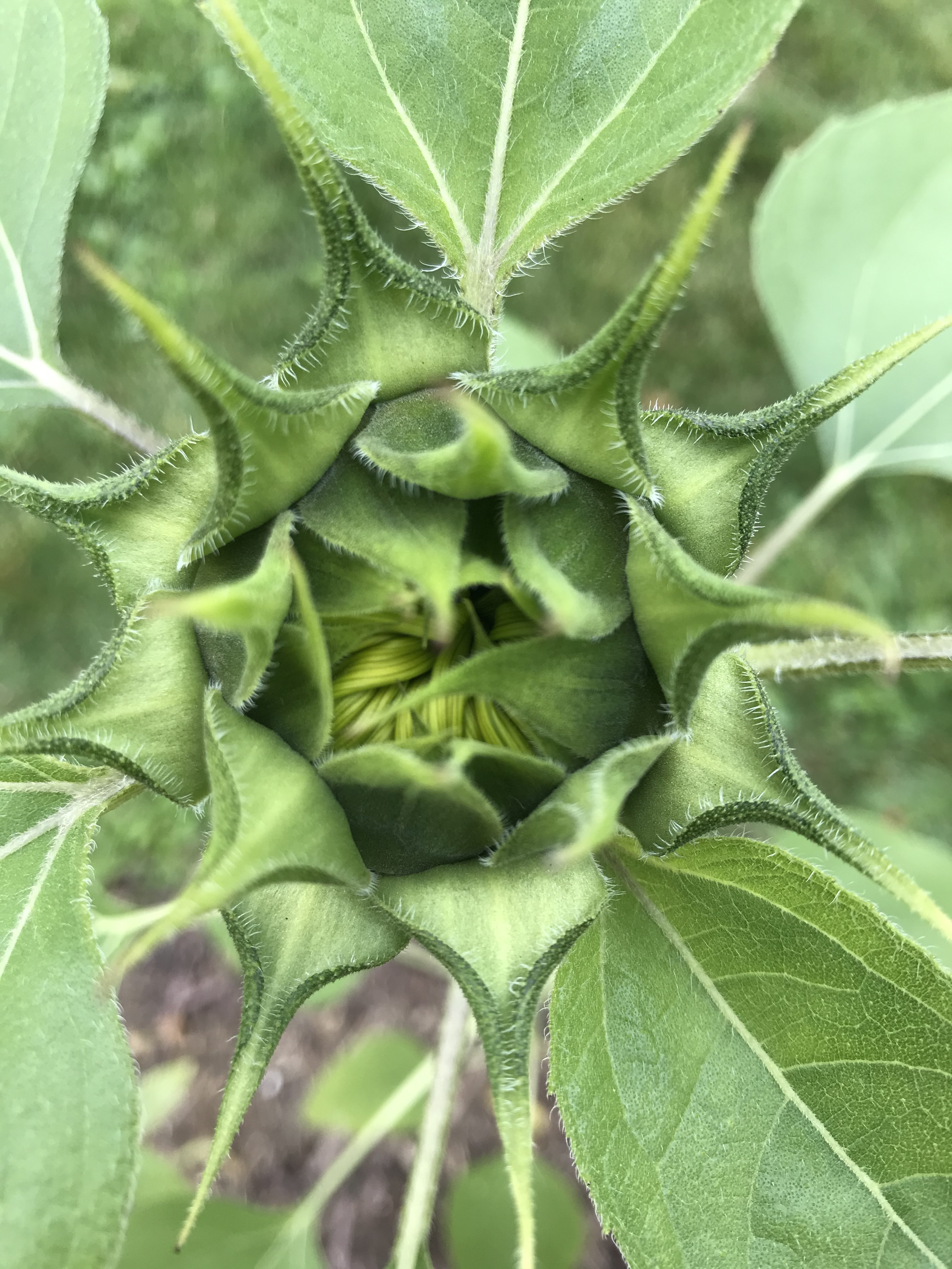 W%UvWbzWQrSo0QAWdzdHxg